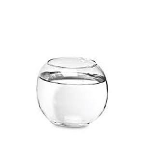 MINI AQUARIO SEM COLAR