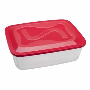 CAIXA SANTANA TOPA TUDO 6 LITROS COM TAMPA