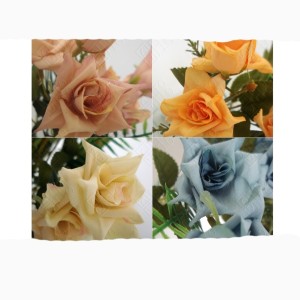 MINI BUQUE DE ROSA CORES SORTIDAS